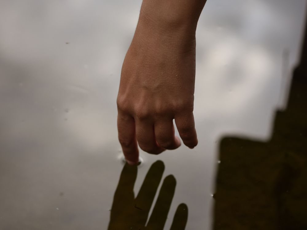 About Chicago Modest Cremation